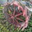 international-8-16-image-5