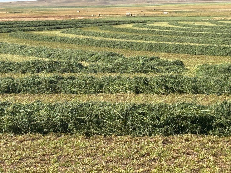 alfalfa-hay-bales-image-2