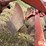 allis-chalmers-2-image-18