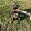 roper-front-tine-tiller-image-6