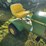 john-deere-70-image-5