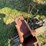 new-holland-489-image-11