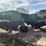 great-plains-3s-3000-image-5