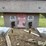 2019-wilson-dwh-651-image-20
