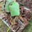 john-deere-harvester-parts-image-4