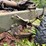 jeep-willys-image-86