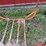 john-deere-dubuque-roll-cage-image-3