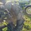 john-deere-320v-slant-steer-image-12