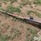 case-ih-3412-image-12