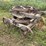 smalley-horsepower-image-1