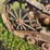 fordson-trackson-image-9