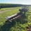 allis-chalmers-silage-blower-image-7