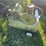 air-compressor-image-2