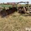 john-deere-12-image-9