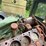 jeep-willys-image-30