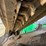 bobcat-t76-image-61