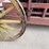 westinghouse-horse-treadmill-image-8