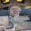 john-deere-440-image-24