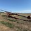 hutchinson-10x82-image-6