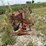 international-720-image-2