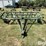 oliver-285-image-2