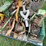 john-deere-dubuque-misc.-parts-image-4
