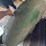 john-deere-435-fenders-image-4