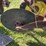 john-deere-55-abh-image-11
