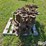 bobcat-773-image-7