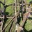 john-deere-14-image-36