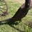 allis-chalmers-14”-two-bottom-pull-type-moldboard-plow-image-8