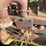 fordson-trackson-image-19