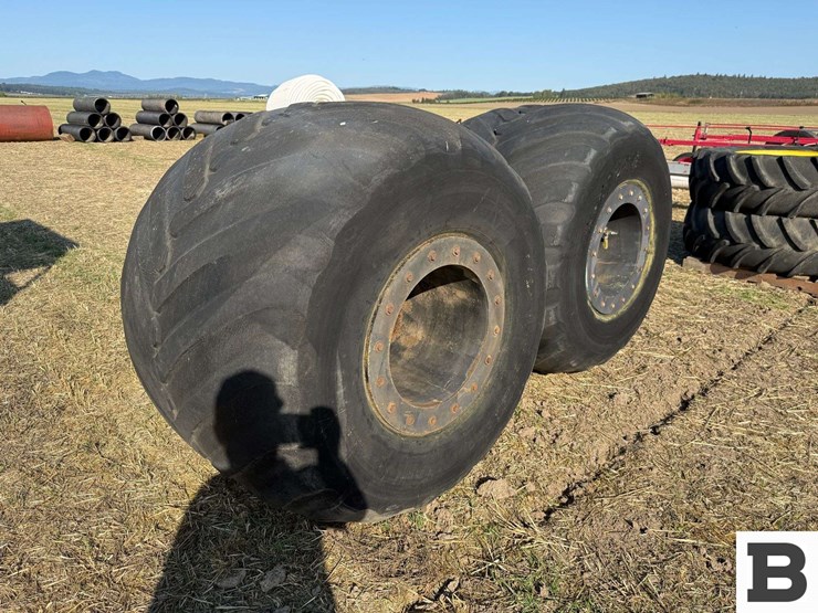 buggy-tires-on-rims-image-7
