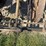 john-deere-290-image-16