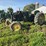 john-deere-430w-image-1