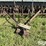 john-deere-11-image-12
