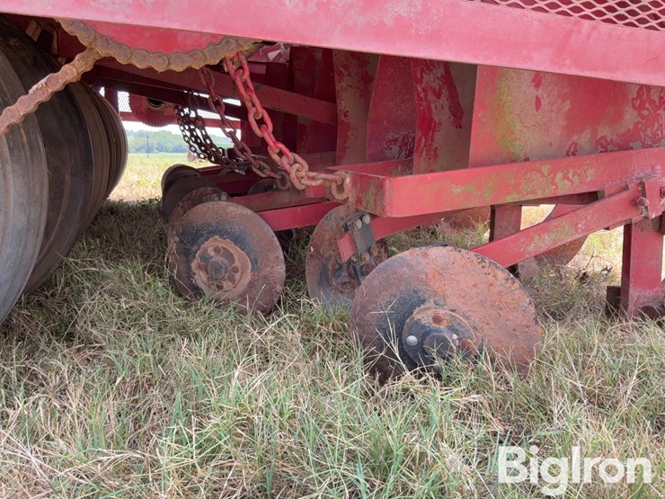 bermuda-king-6-row-image-15
