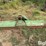 john-deere-78-image-2