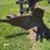 john-deere-14-image-11