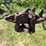 allis-chalmers-16”-one-bottom-pull-type-moldboard-plow-image-8