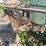john-deere-330-image-11