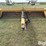 notch-12tll-image-2