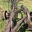 john-deere-14-image-31