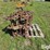bobcat-773-image-3