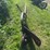 john-deere-16-image-3