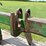 john-deere-2-image-11