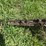 allis-chalmers-14”-two-bottom-pull-type-moldboard-plow-image-23