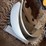 international-8-16-fenders-image-2