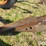 case-ih-14-image-15