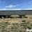 1981-wilson-grain-trailer-image-4